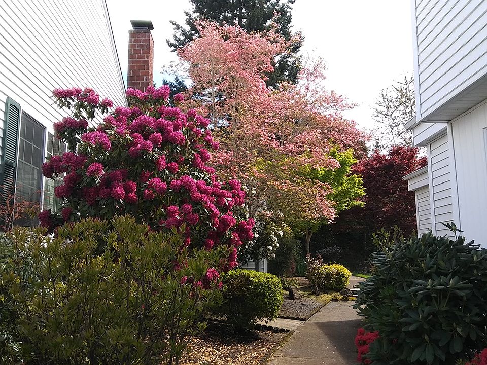 2nd image of 13182 SW 17th St