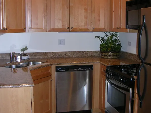 1155 W Grace St, Chicago, IL 60613