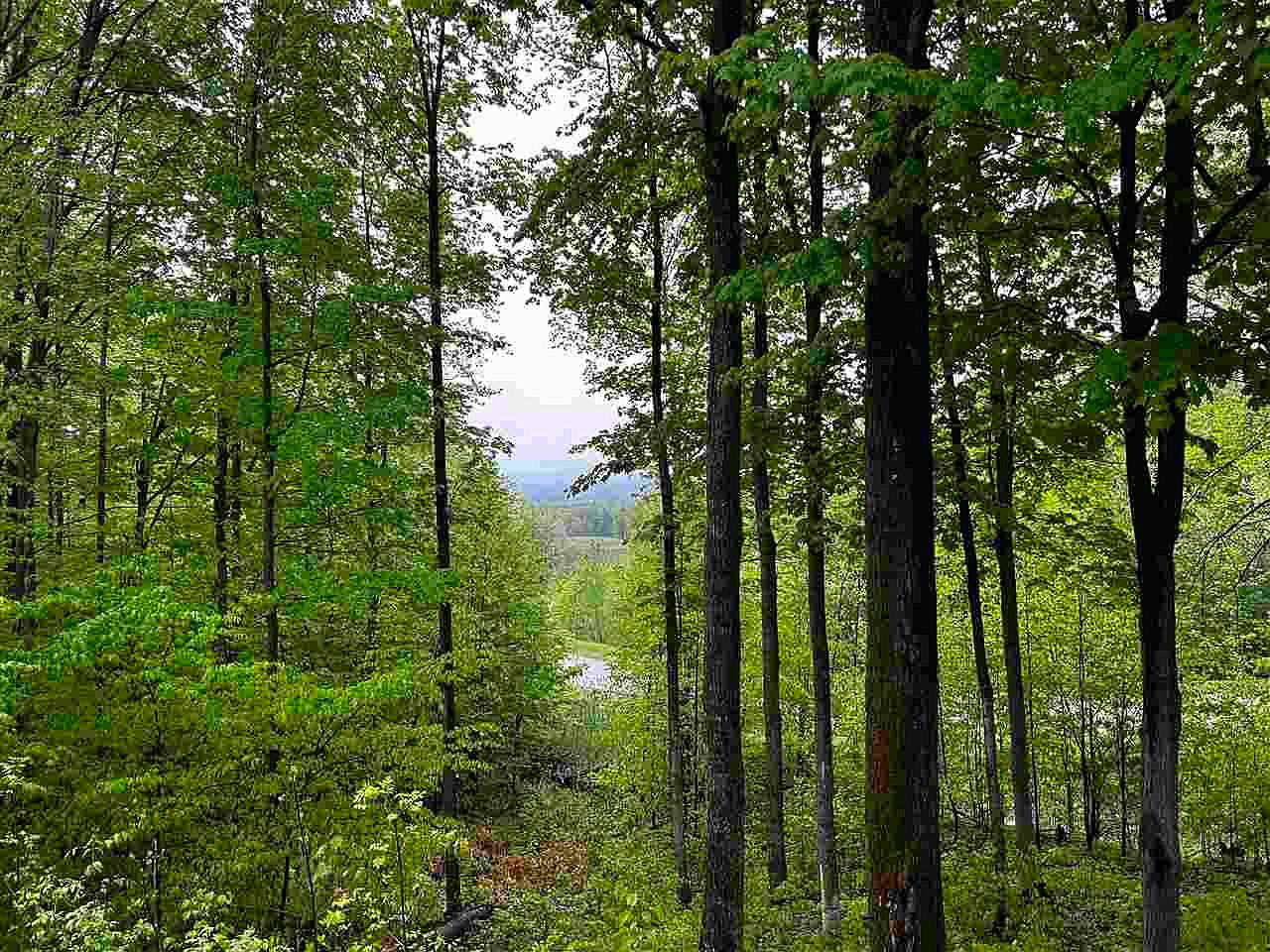 1185 Hideaway Valley Dr UNIT 62