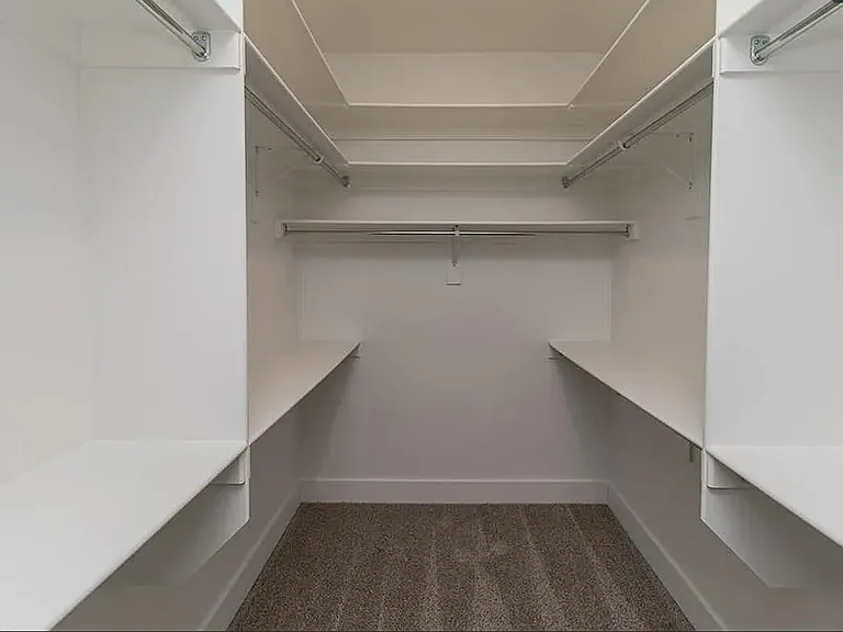 Primary Closet