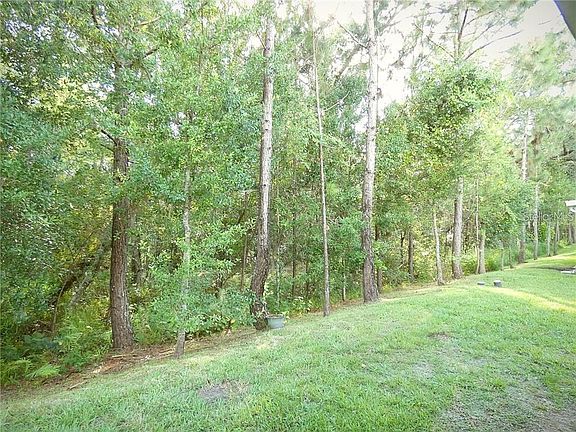 5th image of 2926 Clarabelle Ct