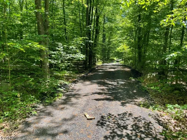 00 Old Foundry Rd, Stillwater Twp., NJ 07860