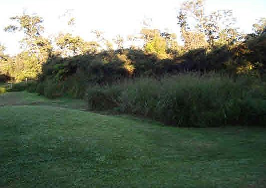 1st image of Alanui Iiwi Lot 191