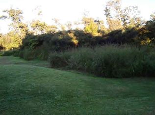 Alanui Iiwi LOT 191, Volcano, HI 96785