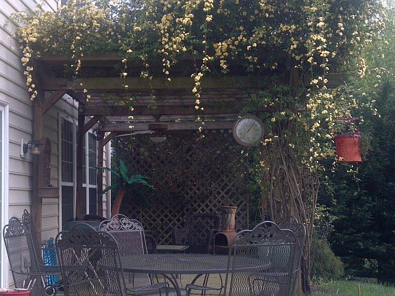 Arbor and back Patio