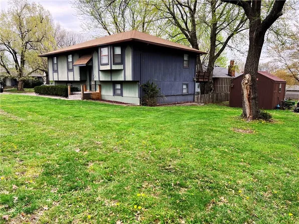 10 Hi View Ridge Dr, Archie, MO 64725