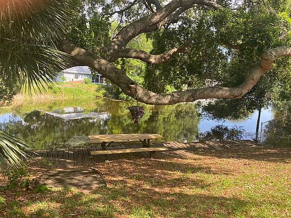 backyard pond