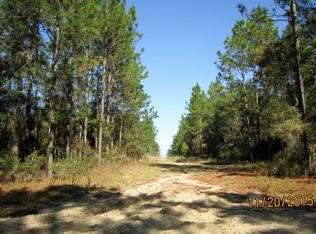 305 Incline Rd, Satsuma, FL 32189