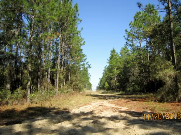 305 Incline Rd, Satsuma, FL 32189