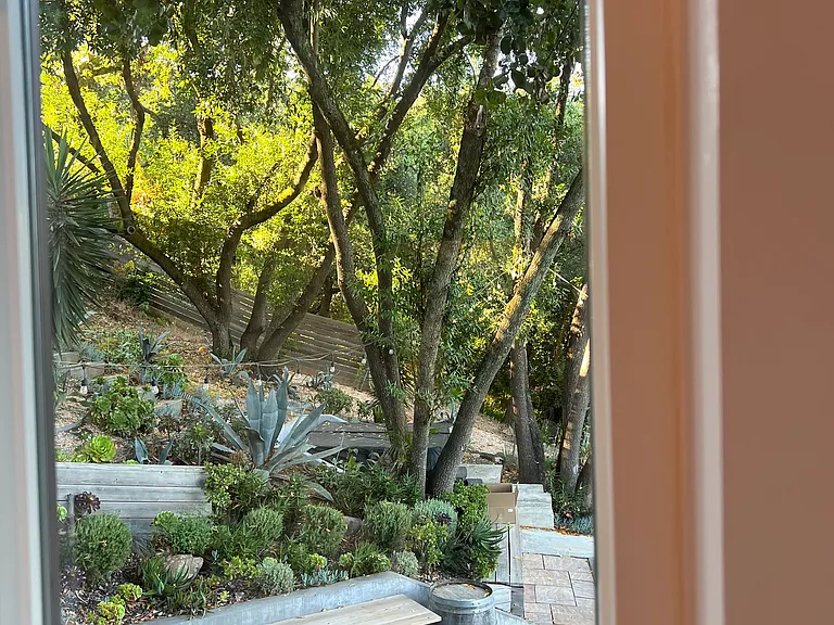 Primary window view to side yard