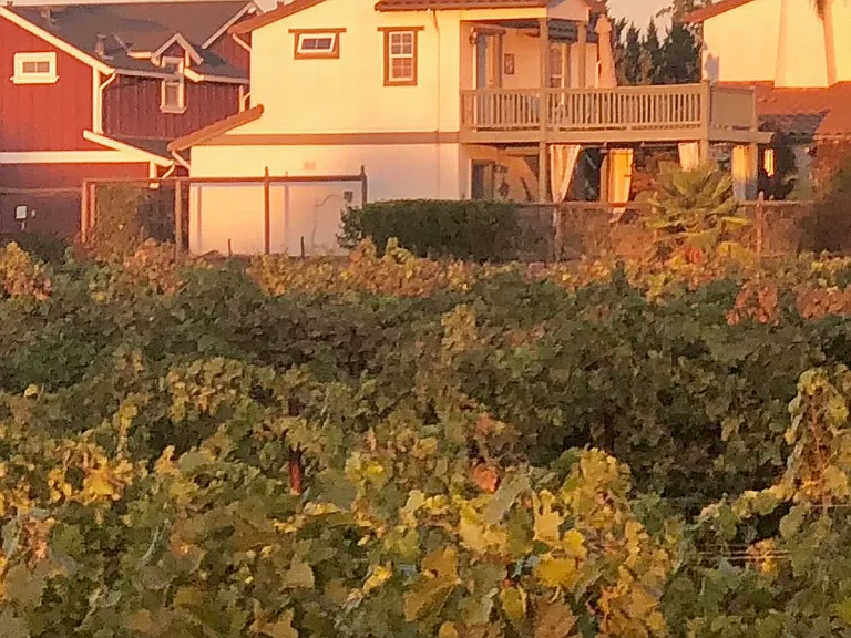 Backed up to the vineyards