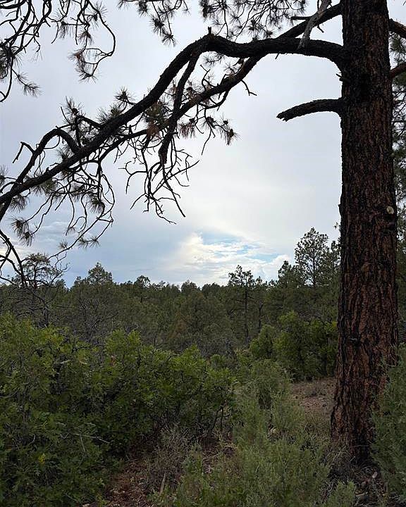 1st image of 2932 Crooked Road