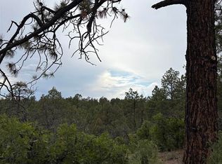 2932 Crooked Rd, Pagosa Springs, CO 81147