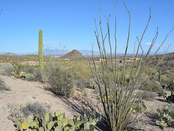 4th image of 3380 W Lost Starr Pl
