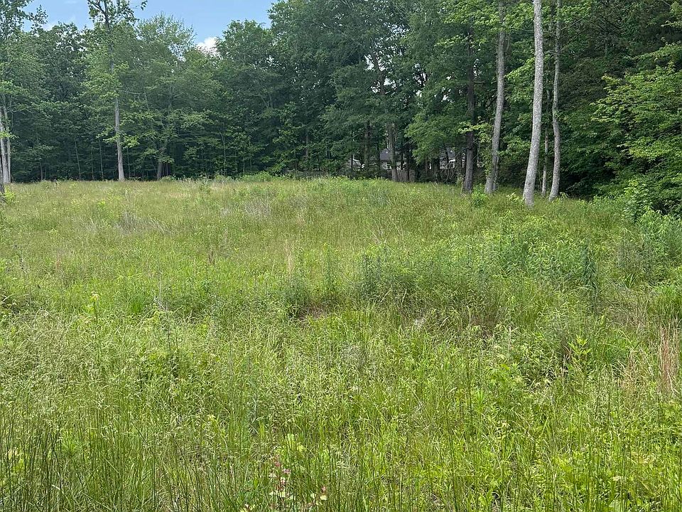 2nd image of 28447 Jessica Dr