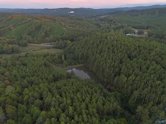 5th image of State Highway 411