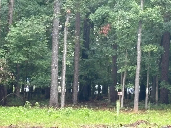 32 Silver Shores Ln, Drasco, AR 72530