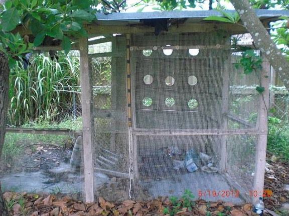Chicken Coop