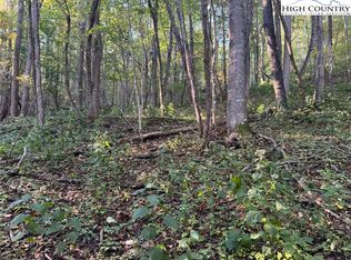 3.59 acres Mulberry Cove Road, Boone, NC 28607