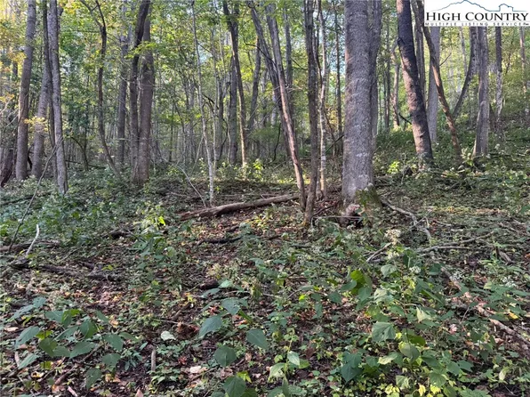 3.59 acres Mulberry Cove Road, Boone, NC 28607