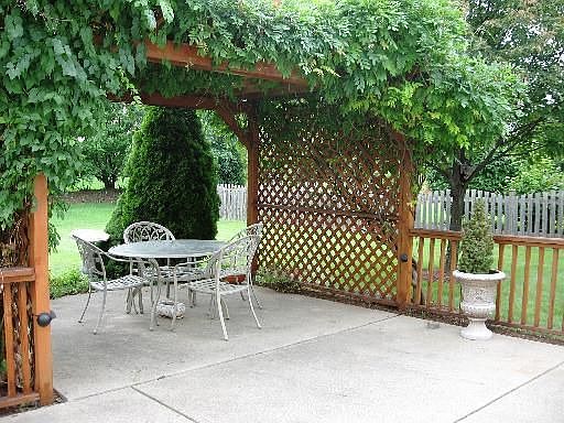 Back Yard Pergola