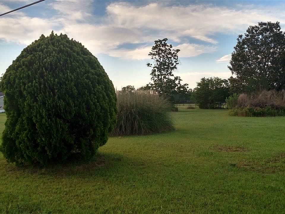 2nd image of 1505 Omega Dr