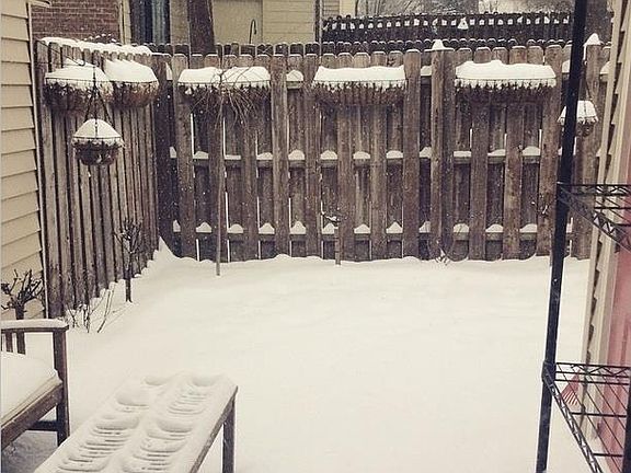 Winter