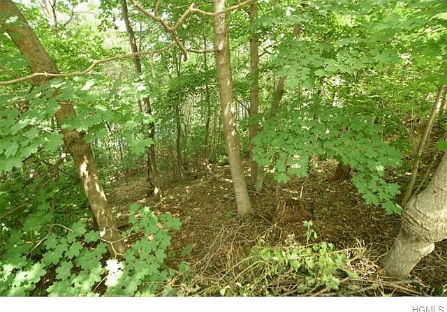2nd image of 23 Tryon Cir