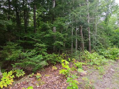 Lot 7-3 Rocky Cove Road, Ellsworth, ME, 04605