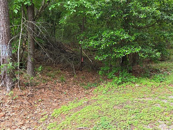 2nd image of Heron Ln Lot 4