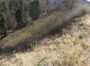 Piney Ln, Cedar glen, CA 92321