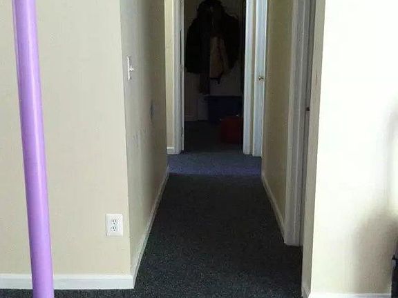 2nd image of 319 Shannon Forest Ct