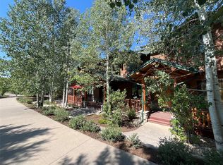3350 Spring Valley Drive UNIT 14, Steamboat Springs, CO 80487