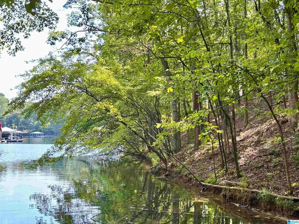 Red Eye Ln #17, Wedowee, AL 36278