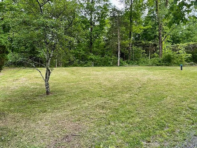 1783 Berme Rd — Photo 20