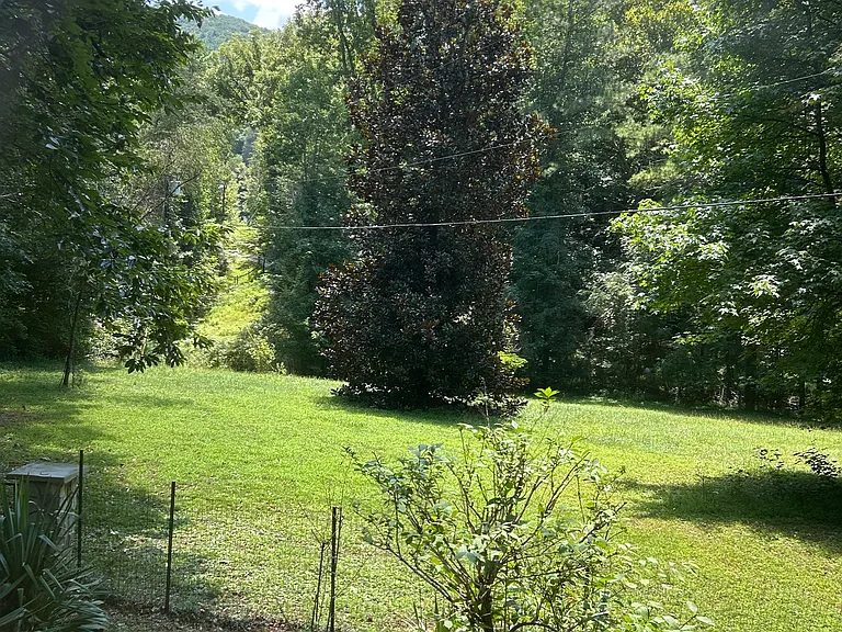 Carolina Ln — Photo 10