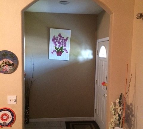 4th image of 535 Senator Ave