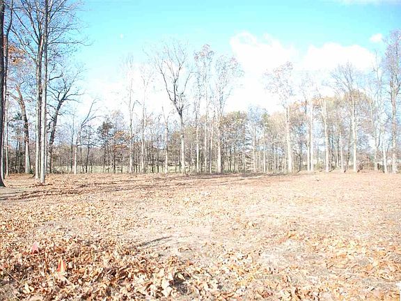 2nd image of 000 Kaitlyn Lot 13