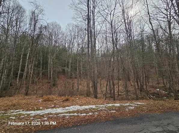 Tbd Murray Rd, Marion, VA 24354