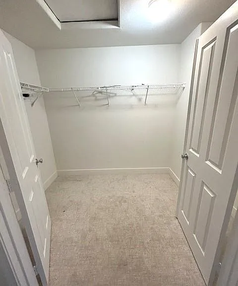 1043 Saltbush Ln — Photo 16