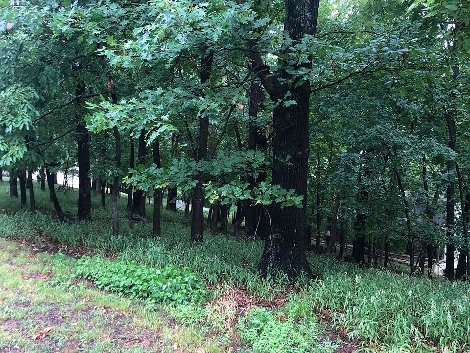 2nd image of S Coves Dr