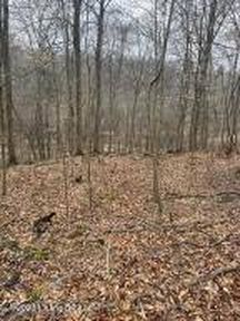582 Christopher Ln, Leitchfield KY - Owner Finance Home