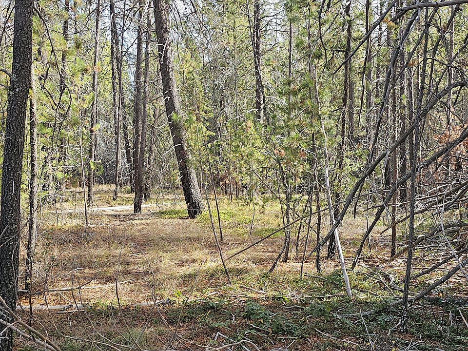 446X Springdale Hunters Rd, Springdale, WA 99173 Zillow