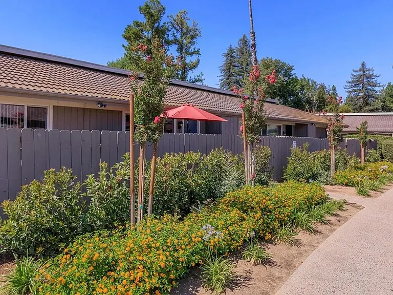 Monterey Pines — Photo 4