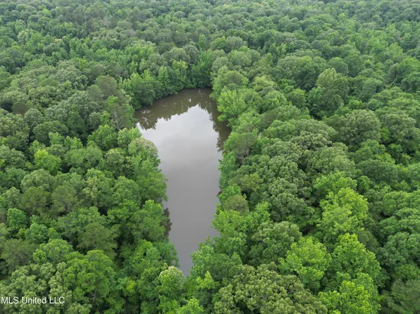 Gessler Rd, Benton, MS 39039