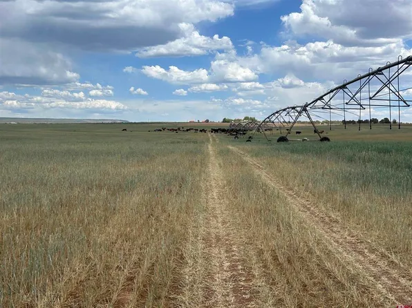 TBD Road 15, Cahone, CO 81320