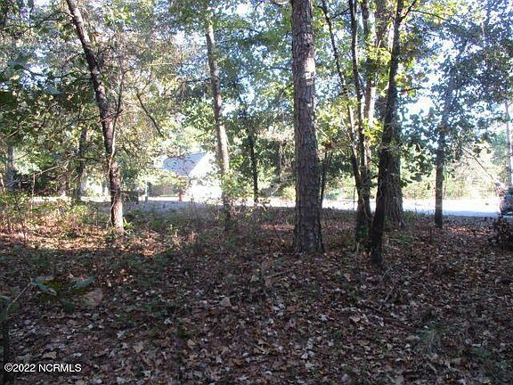 5th image of 236 Finch Gate Dr Lot 27