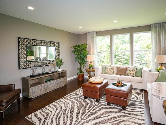 Model Representation