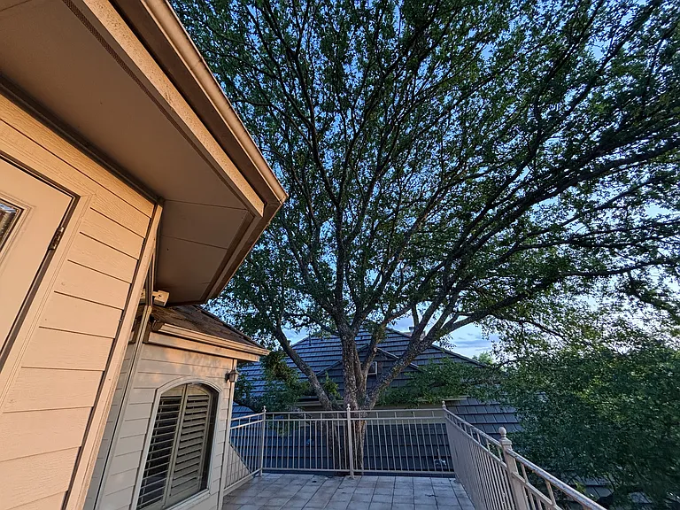 131 Westcourt Ln — Photo 45