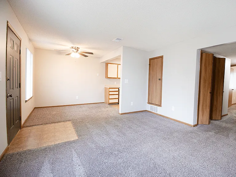Plush Carpeting